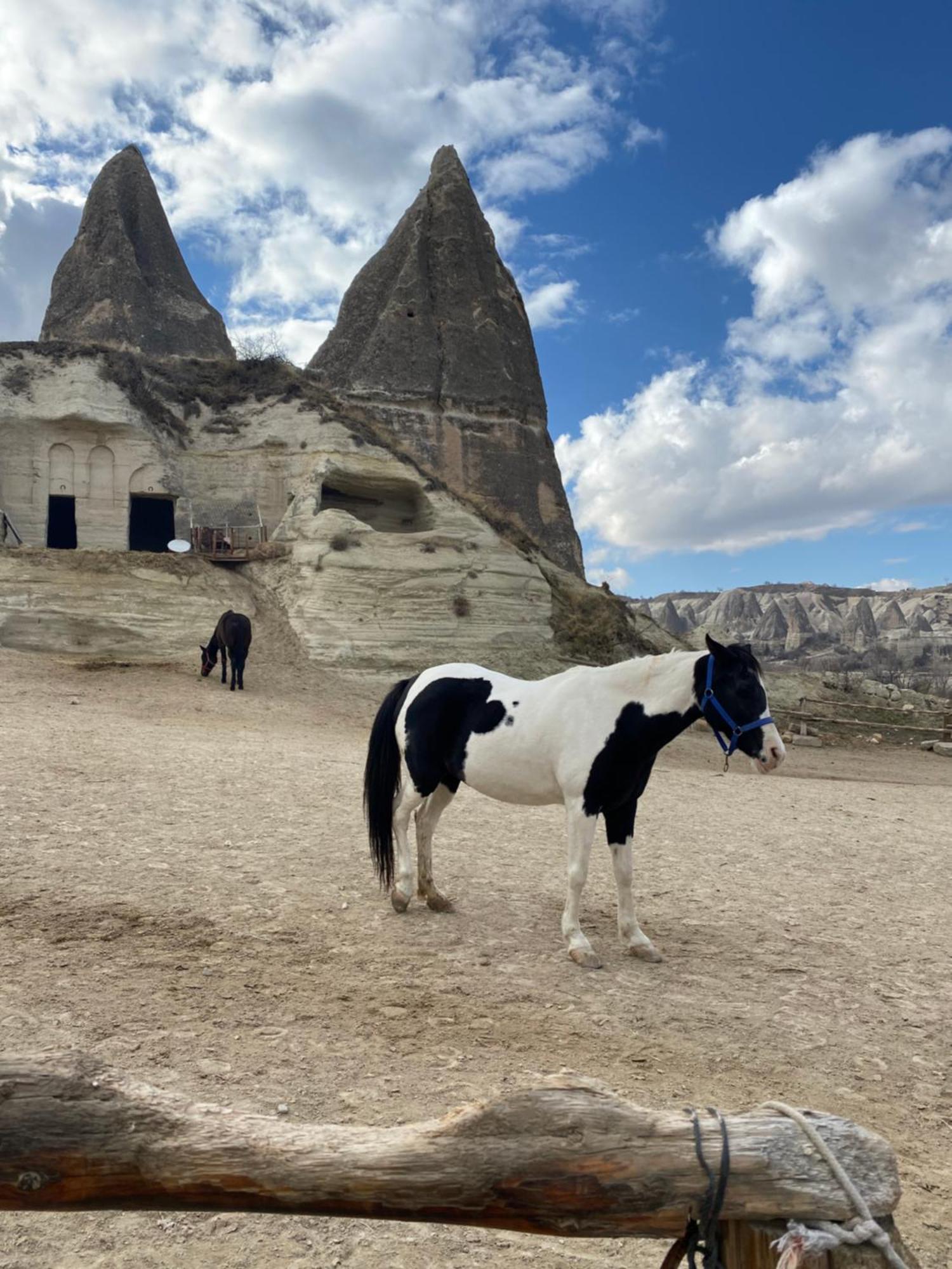 فندق Sinasos Evleri نفسهير المظهر الخارجي الصورة